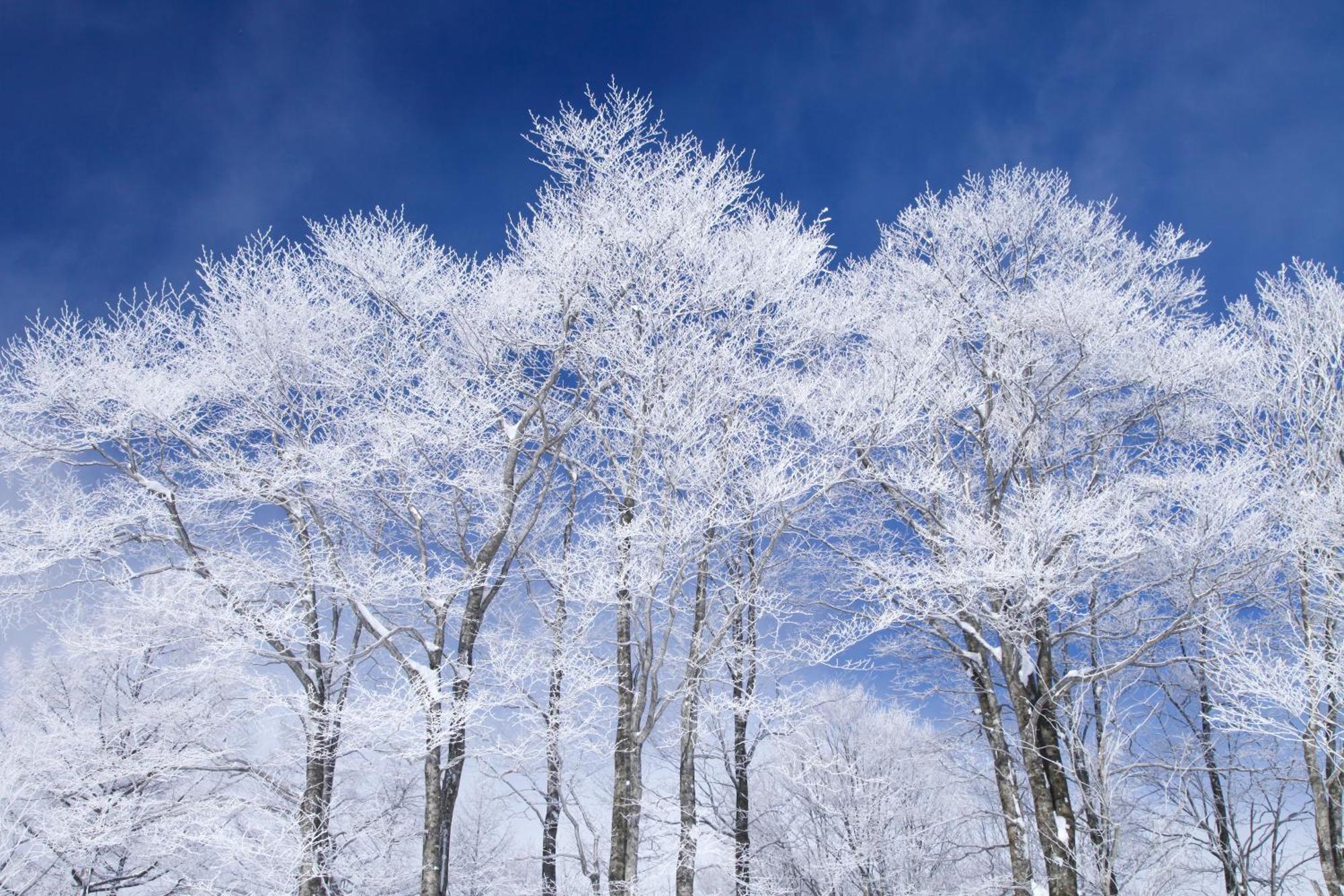 Hakuba Hatago Maruhachi Buitenkant foto